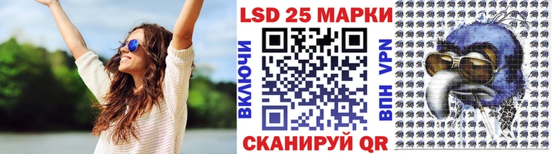 блэк спрут как войти  Фокино  Марки 25I-NBOMe 1500мкг 