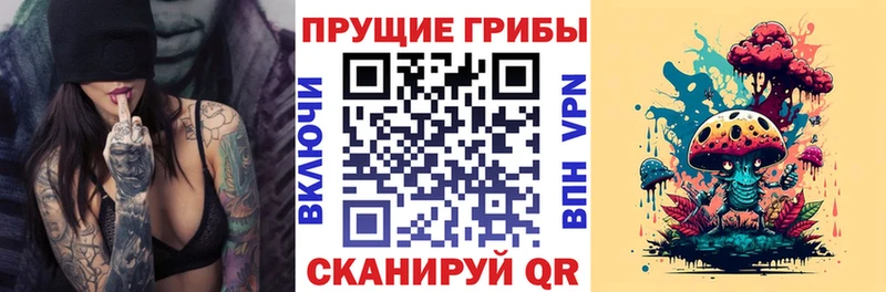Псилоцибиновые грибы Magic Shrooms мега маркетплейс Фокино